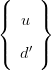 (     )
|{  u  |}

|(  d&prime; |)