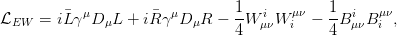             &mu;           &mu;       1   i   &mu;&nu;   1  i   &mu;&nu;
LEW   = i�L&gamma;  D&mu;L  + i�R&gamma;  D&mu;R  &minus; 4-W &mu;&nu;W i  &minus; 4B &mu;&nu;B i ,
